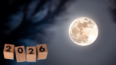 Calendario Lunar 2026 Estas son todas las Lunas Nuevas del año y las fechas clave para manifestar (Fotos Canva)