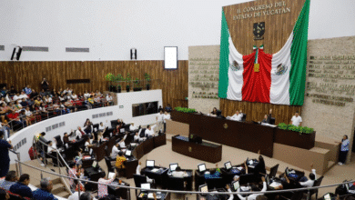 cecilia patrón confía en que el congreso avalará la ley de ingresos de mérida