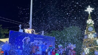 cecilia patrón enciende el árbol navideño en el sur de mérida