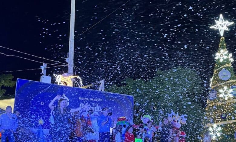 cecilia patrón enciende el árbol navideño en el sur de mérida