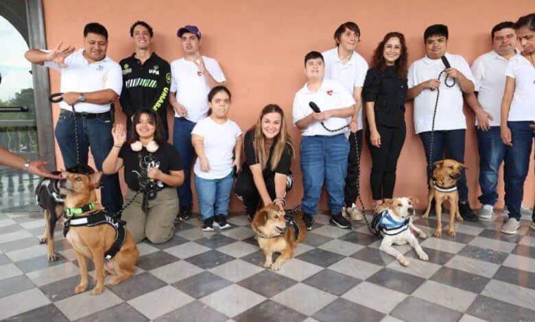 cinco perritos rescatados serán los reyes caninos del carnaval mérida 2026