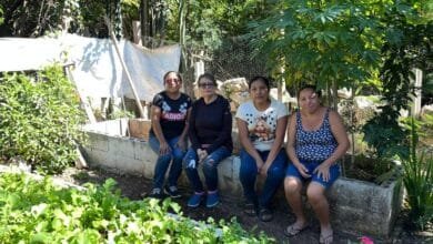 comedor zarigueyas ac solicita apoyo para esta navidad