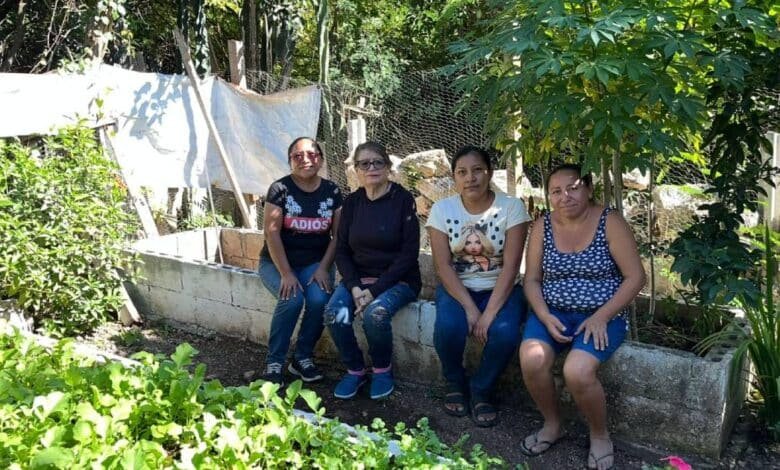 comedor zarigueyas ac solicita apoyo para esta navidad