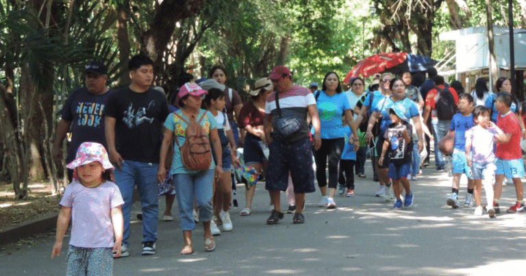 Zoológicos de Mérida mantendrán operaciones durante las fiestas decembrinas