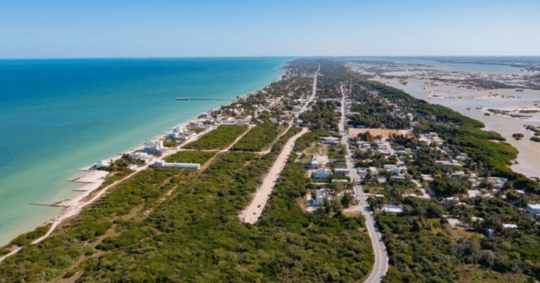 Avanza dragado en el puerto de Chuburná: trabajos de la Semar mejoran navegabilidad