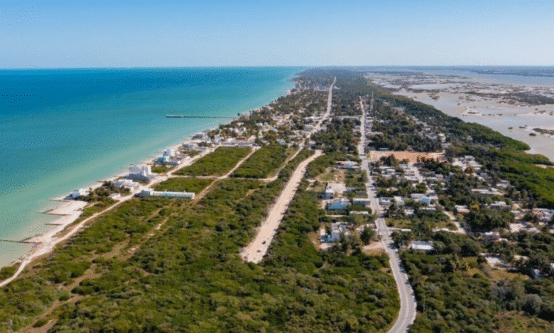Avanza dragado en el puerto de Chuburná: trabajos de la Semar mejoran navegabilidad