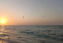 Sisal y Hunucmá se alistan para las vacaciones decembrinas