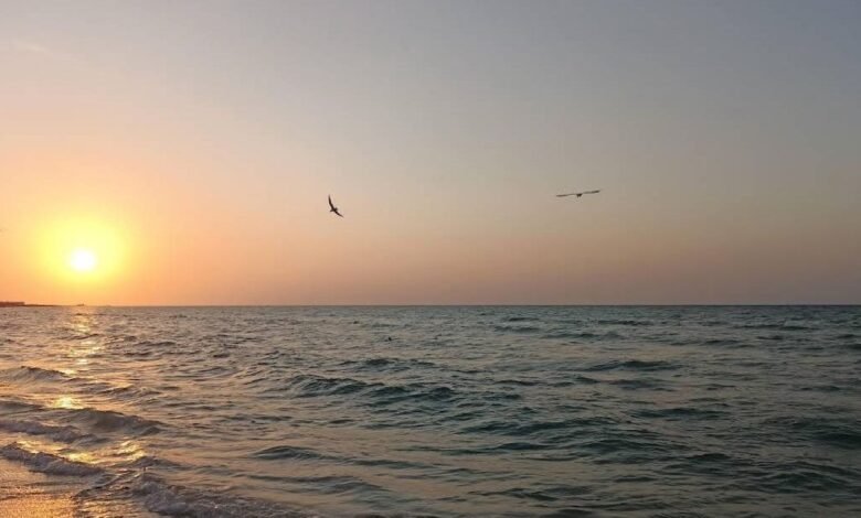 Sisal y Hunucmá se alistan para las vacaciones decembrinas