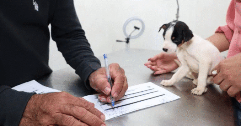 erik rihani llama a las familias de progreso a sumarse a la campaña “huellitas con hogar”