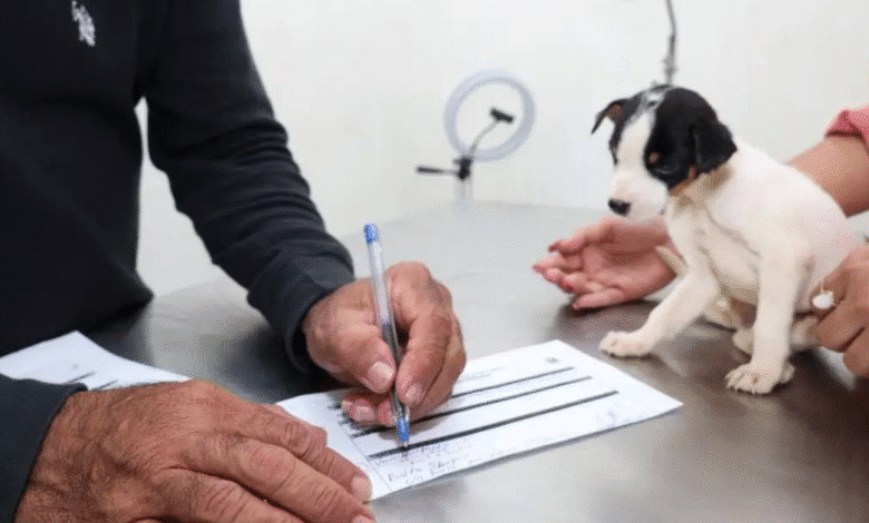 erik rihani llama a las familias de progreso a sumarse a la campaña “huellitas con hogar”