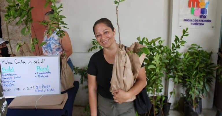 Mérida ya entregó más de 44,600 árboles del programa “Una Familia, Un Árbol”