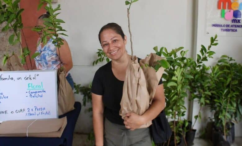 Mérida ya entregó más de 44,600 árboles del programa “Una Familia, Un Árbol”