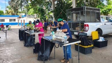 Yucatán refuerza el control responsable de mascotas con casi 4 mil esterilizaciones