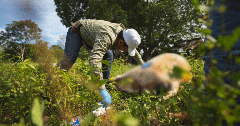Atienden gusaneras en Yucatán en menos de 24 horas; reportan 104 casos activos