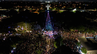 mérida brilla ilumina el poniente con el encendido del árbol en el parque juan pablo ii