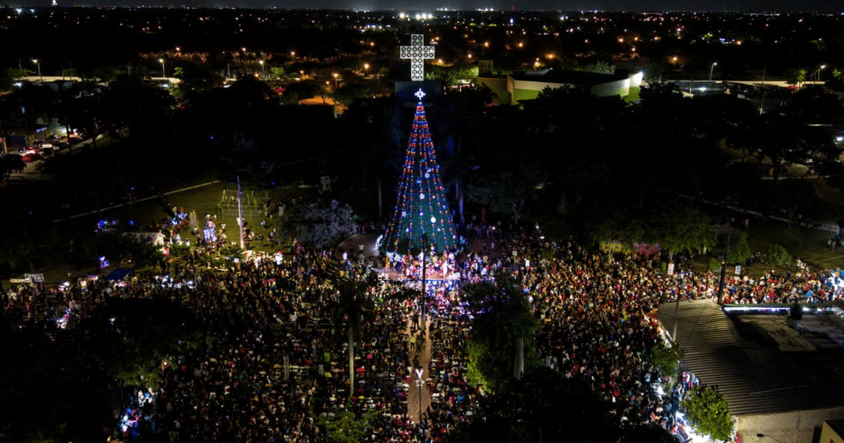 mérida brilla ilumina el poniente con el encendido del árbol en el parque juan pablo ii