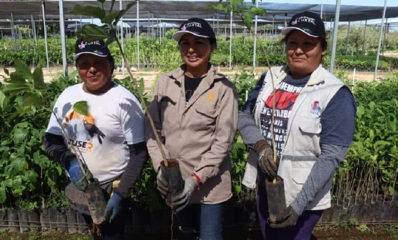 Mérida invita a la ciudadanía a unirse para proteger el futuro de la Reserva Cuxtal