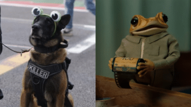 Perrito policía disfrazado de “Concho” se roba el show en concierto de Bad Bunny en CDMX