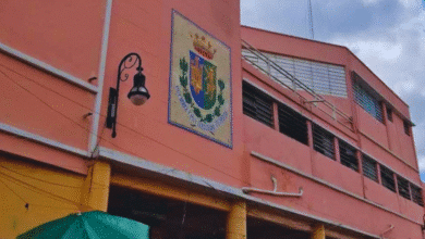 por primera vez en su historia, el lucas de gálvez brillará con adornos y luces navideñas