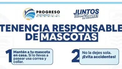 En campañas de bienestar, vacunación y atención a reportes de maltrato, con apoyo de nuevas herramientas de contacto ciudadano