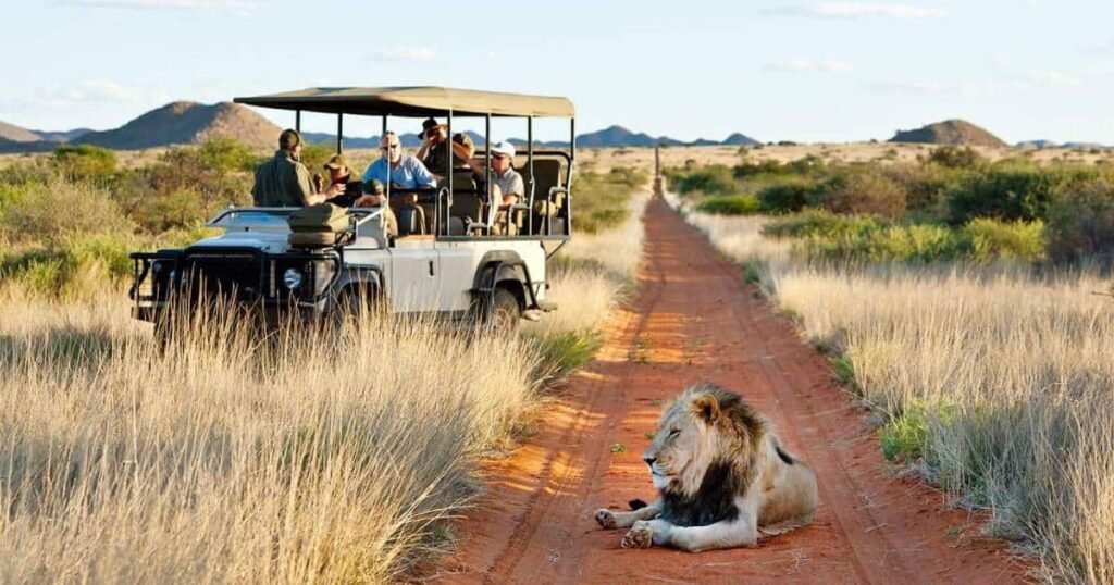 safari en sudafrica la experiencia de vida salvaje mas impactante 2