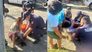 Pitbull ataca a señora en la colonia Vergel (Fotos de internet)