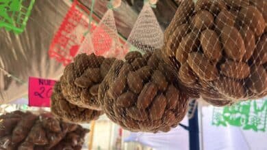 Profeco refuerza vigilancia por compras de fin de año