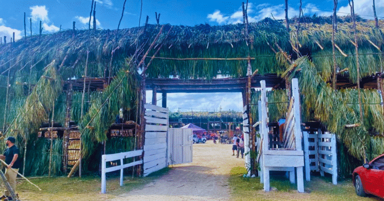 tizimín comienza con los preparativos de la feria de reyes