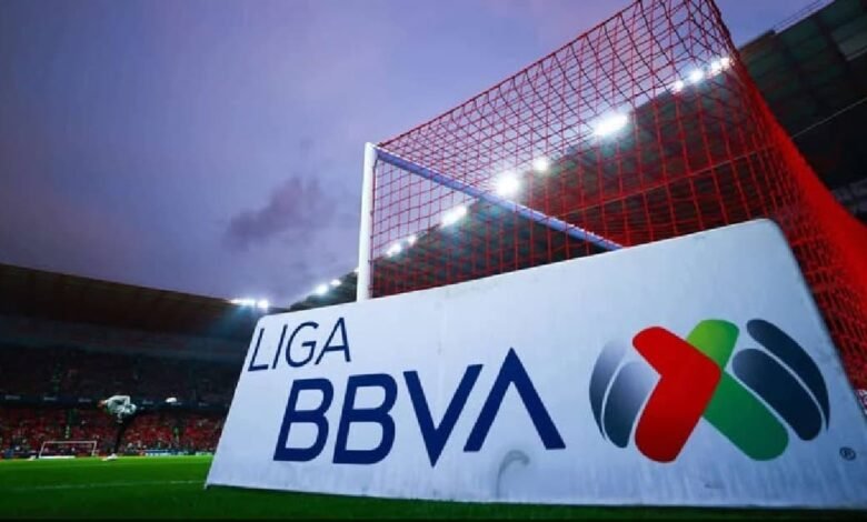 Estas son las fechas importantes del futbol mexicano (Foto de internet)