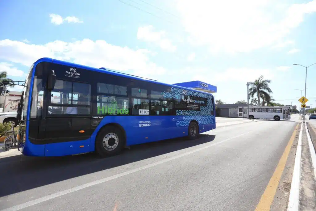 whatsapp image 2025 12 11 at 5.00.12 pm (1)