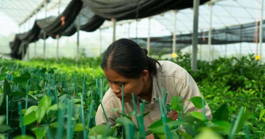 yucatán acelera su transición hacia una economía verde (1)