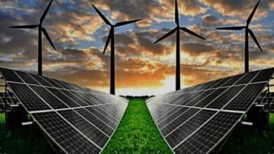 Yucatán acelera su transición hacia una economía verde