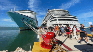 yucatán cerrará el año con 19 arribos de cruceros en diciembre