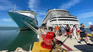 yucatán cerrará el año con 19 arribos de cruceros en diciembre
