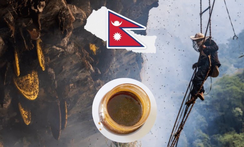 ¿Te atreverías a probarla Mad Honey, la miel alucinógena por la que se juegan la vida en el Himalaya (Foto por TryAladdin y Wikipedia)