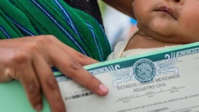 Actas protegen a hijos de migrantes yucatecos ante riesgos de deportación