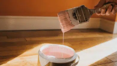 alistan convocatoria para otorgar impermeabilizantes y pintura para viviendas en mérida