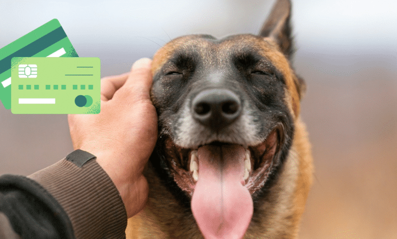 ¿Tienes mascotas en casa? Así puedes hacer el registro obligatorio en el RUAC