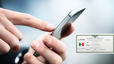 Inicia el registro obligatorio de celulares: Paso a paso para registrar tu línea telefónica con CURP