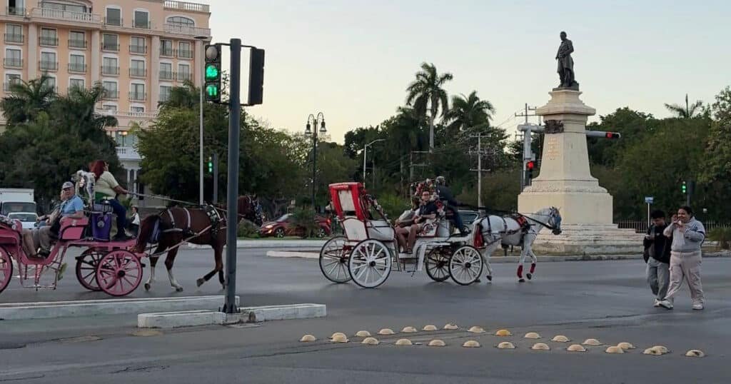 Repunta el turismo extranjero en Mérida en temporada baja y aumenta la demanda de paseos en calesa