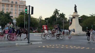 Repunta el turismo extranjero en Mérida en temporada baja y aumenta la demanda de paseos en calesa