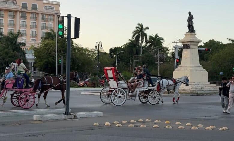 Repunta el turismo extranjero en Mérida en temporada baja y aumenta la demanda de paseos en calesa