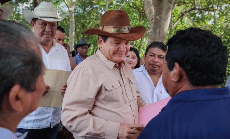 caminos renacimiento fortalecen la producción agrícola en dzitás