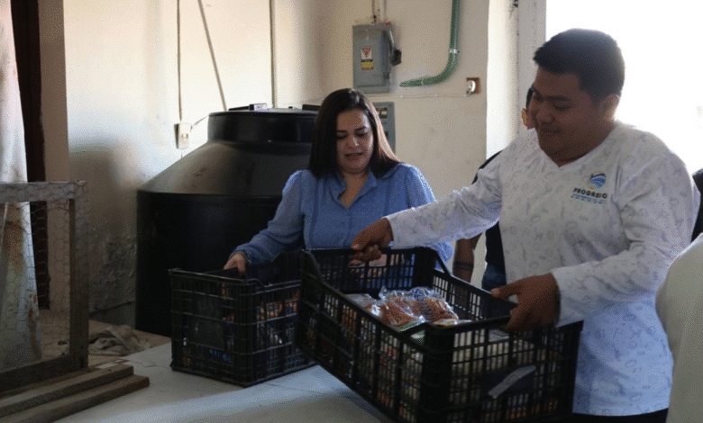 carrera del pavo 2025 fortalece apoyo a personas vulnerables en progreso