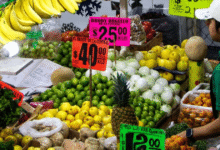 Composición del gasto familiar en México al cierre de 2025, según Inegi