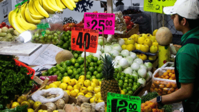 Composición del gasto familiar en México al cierre de 2025, según Inegi