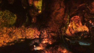 continúan gestiones para la reapertura de la caverna de loltún