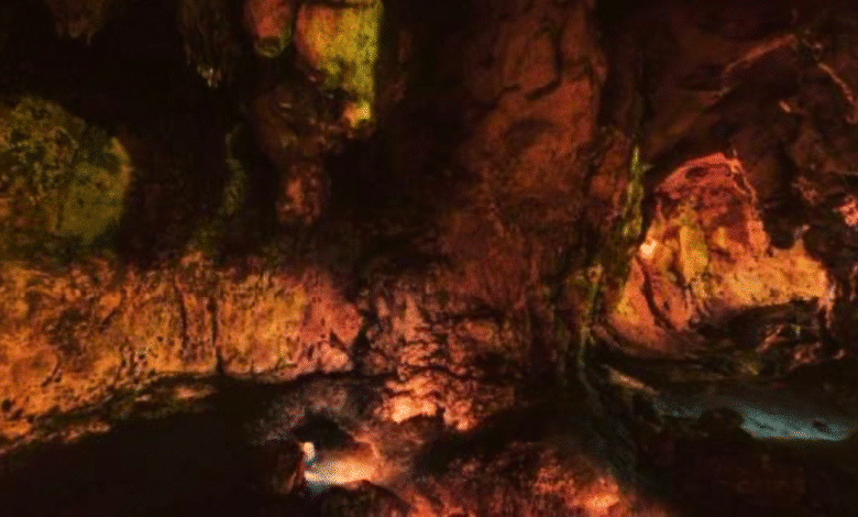 continúan gestiones para la reapertura de la caverna de loltún