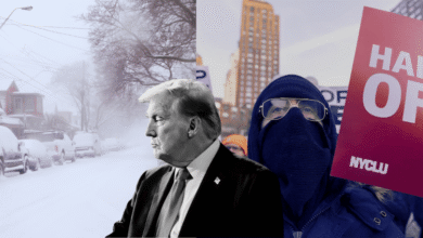 En medio de protestas nacionales por la muerte de un manifestante a manos de agentes federales en Mineápolis y una megatormenta invernal que ha dejado al menos 30 muertos, el presidente Donald Trump ajustó su estrategia tanto en materia migratoria como en el manejo de la crisis interna, ordenando cambios tácticos y un repliegue parcial de fuerzas federales.