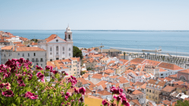 Alfama es uno de los lugares más emblemáticos de Portugal y una visita imprescindible para quienes buscan historia, cultura y autenticidad.